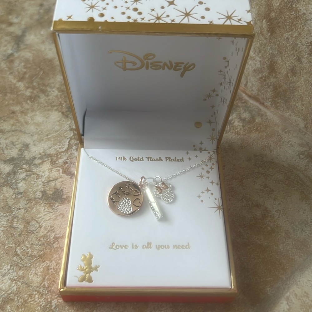 NWT Disney Necklace